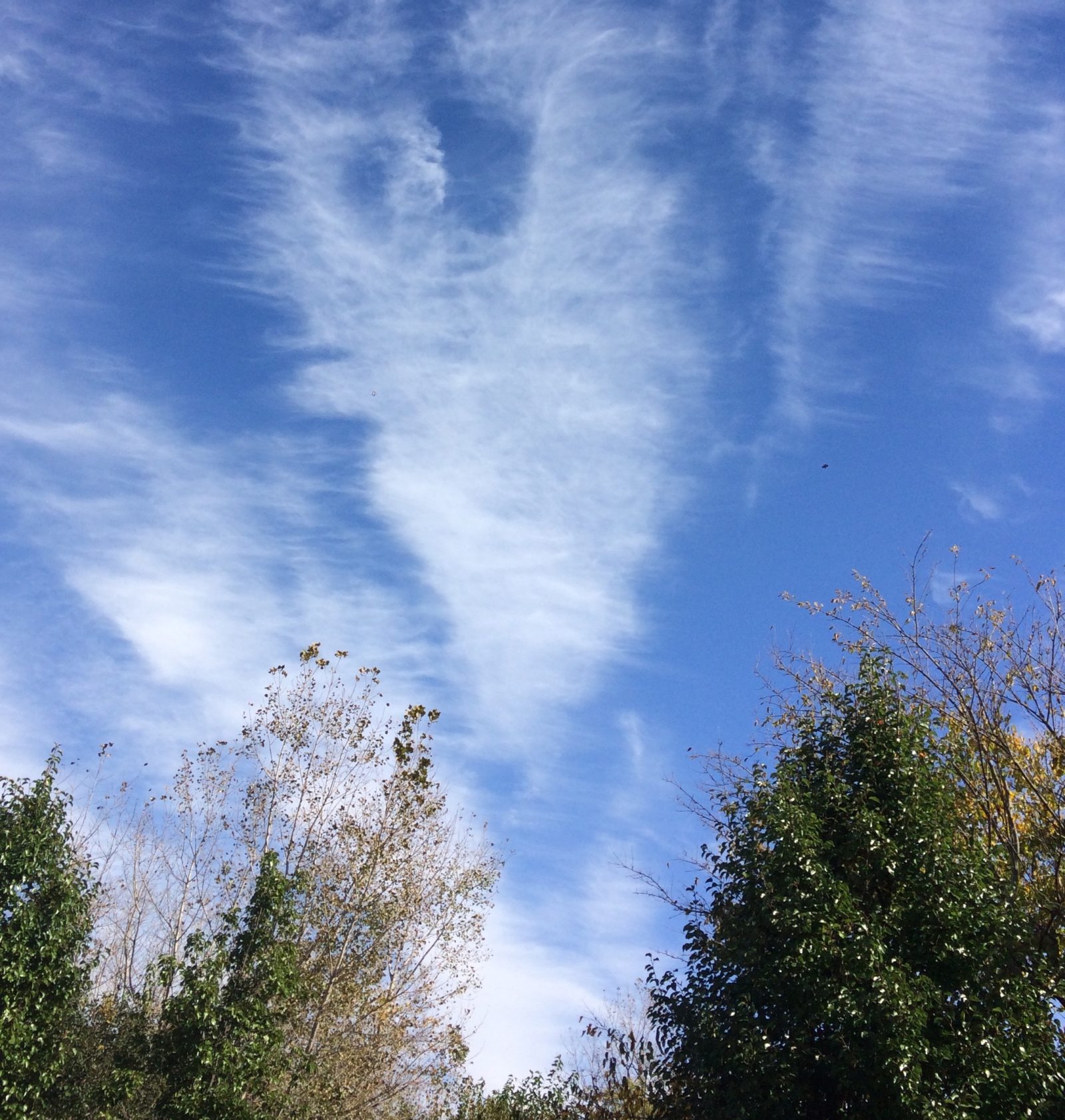 Heart in the sky